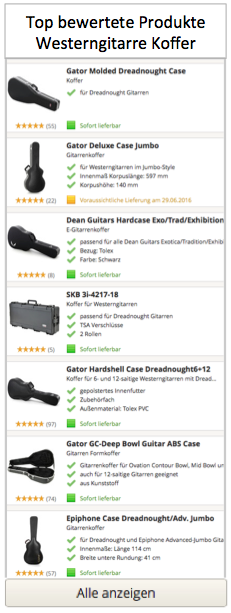 Westerngitarre koffer