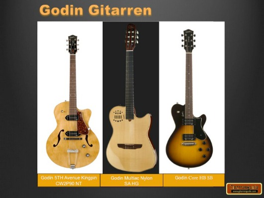 Godin Gitarren Godin Gitarren