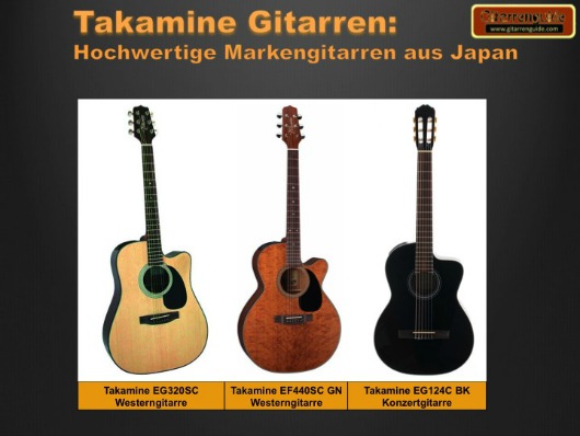 Takamine Gitarren Takamine Gitarren