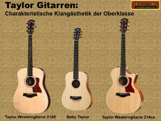 Taylor Gitarren im Test